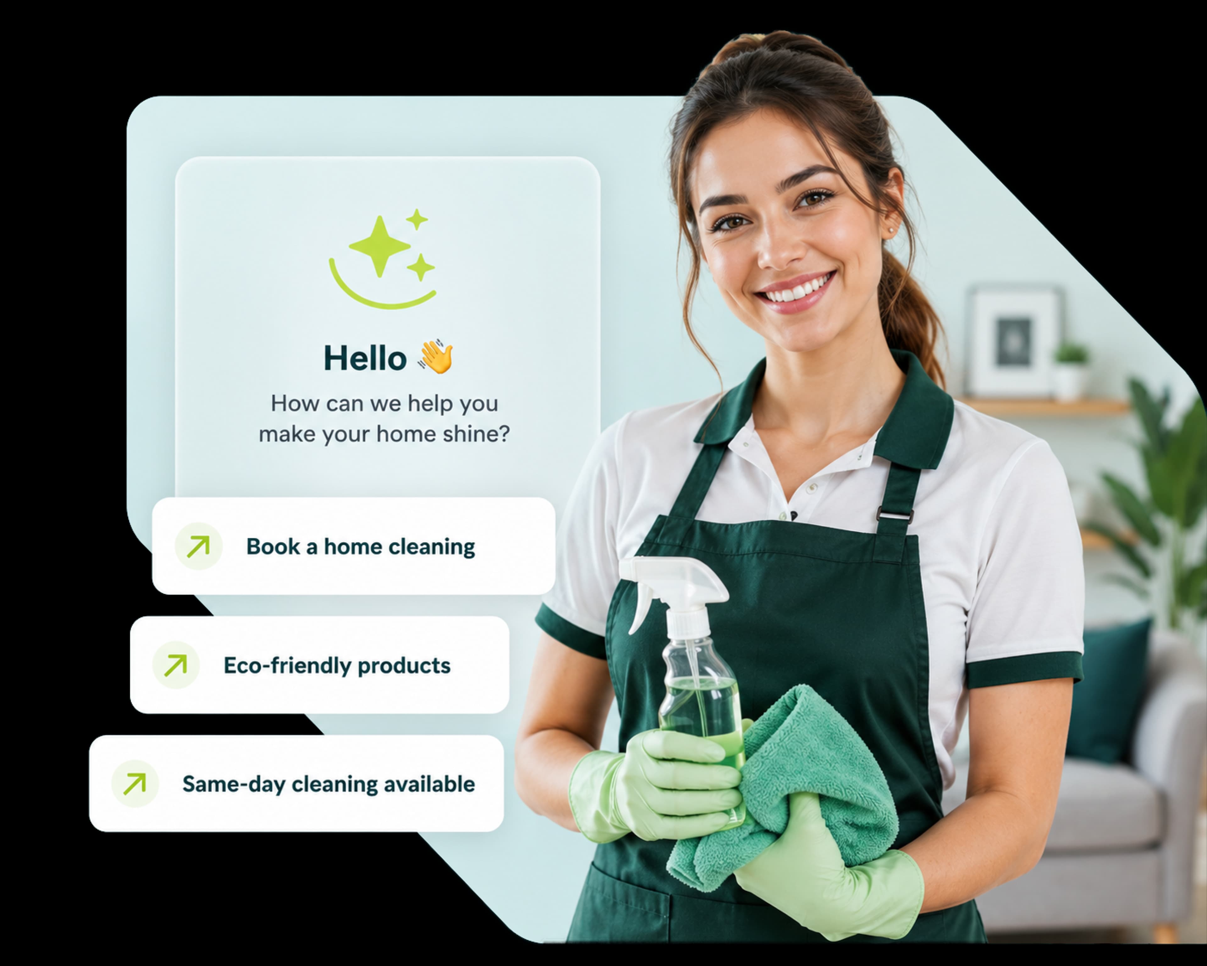 Professional cleaner