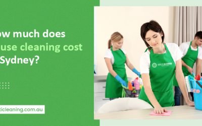 house cleaning cost