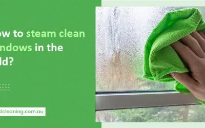 steam cleaning windows in the cold