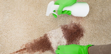 Carpet stain cleaning