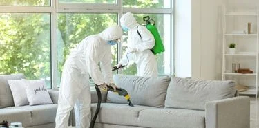 house disinfection cleaning Sydney