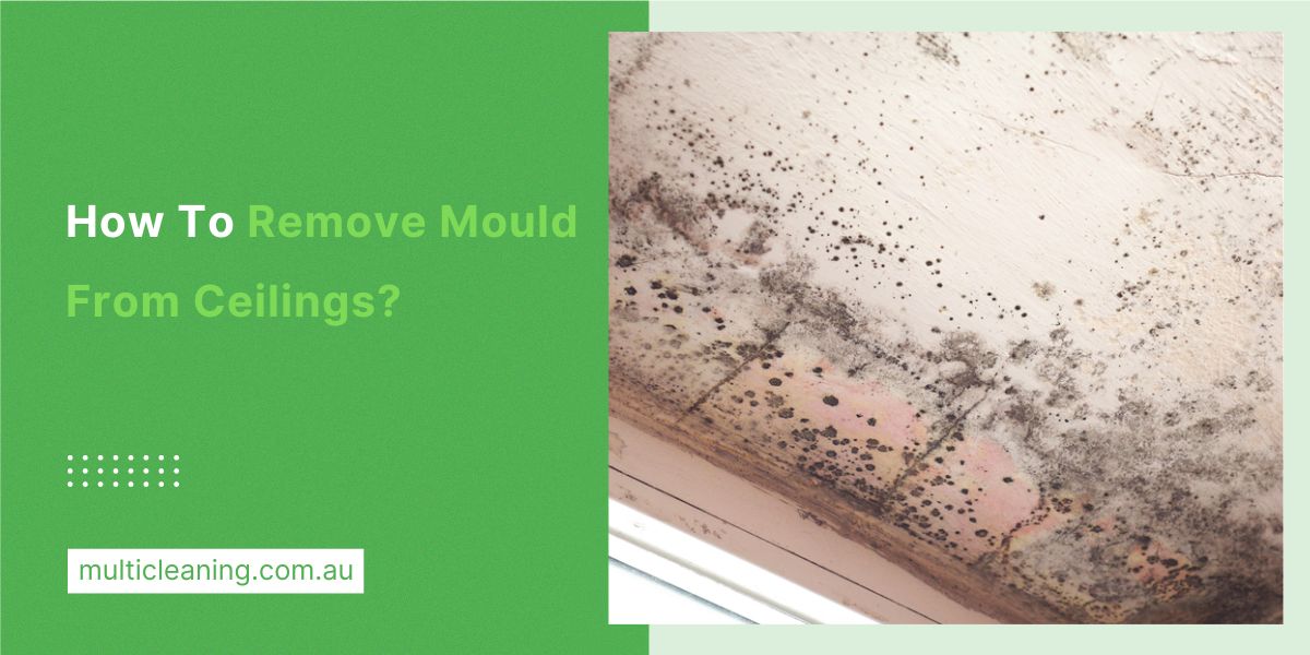 How To Get Rid Off Mould From Ceilings?